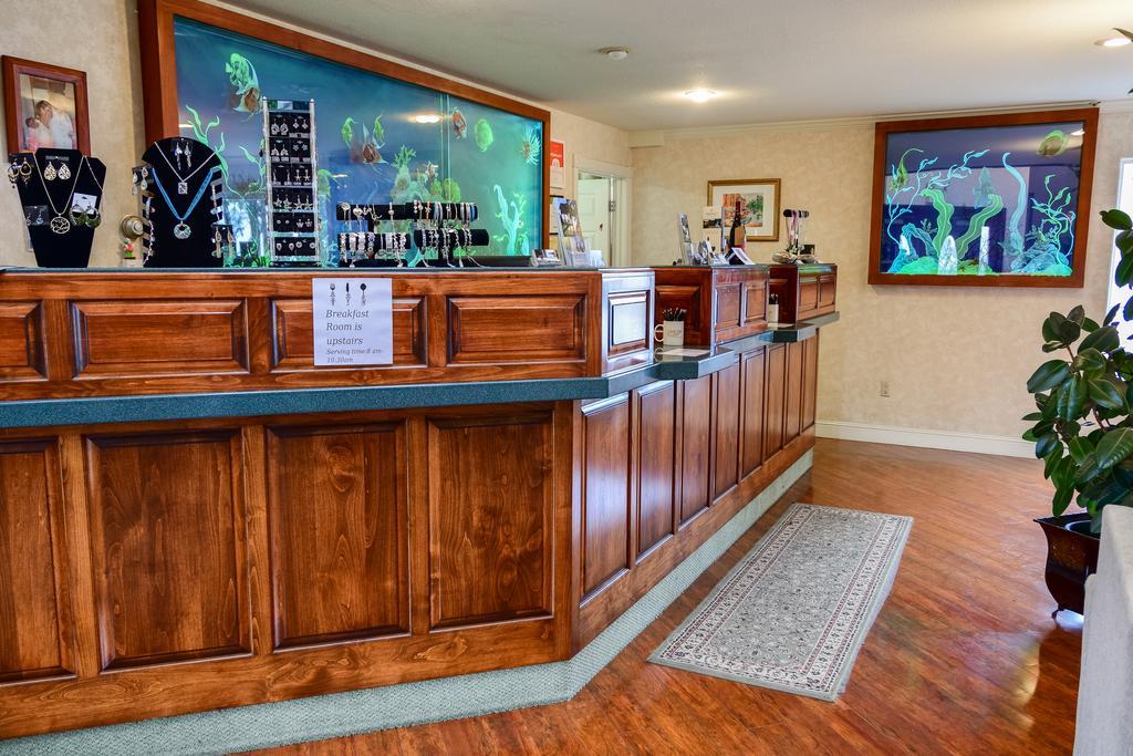 North Cliff Hotel 포르 브래그 외부 사진